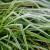 Poquonock Bridge Sprinkler Winterization by Premier Irrigation LLC