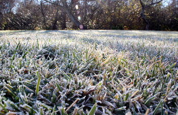 Sprinkler Winterization in Portland, CT.