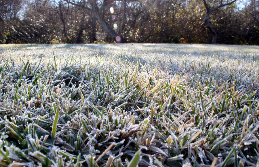 Sprinkler Winterizing by Premier Irrigation LLC